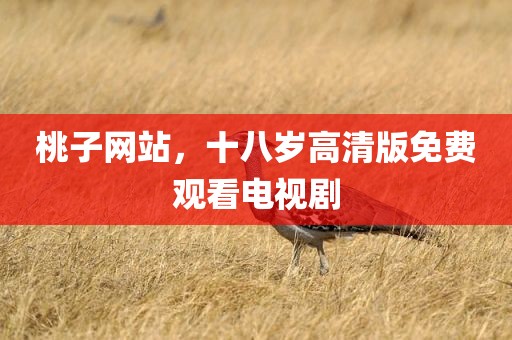 桃子网站，十八岁高清版免费观看电视剧