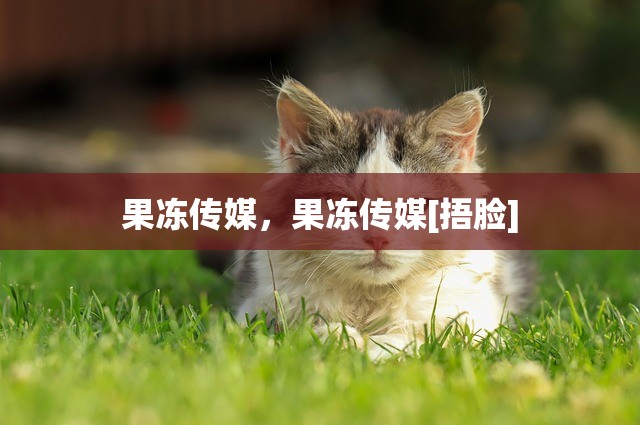 果冻传媒，果冻传媒[捂脸]