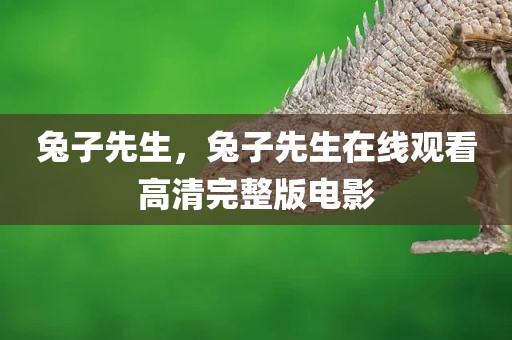 兔子先生，兔子先生在线观看高清完整版电影