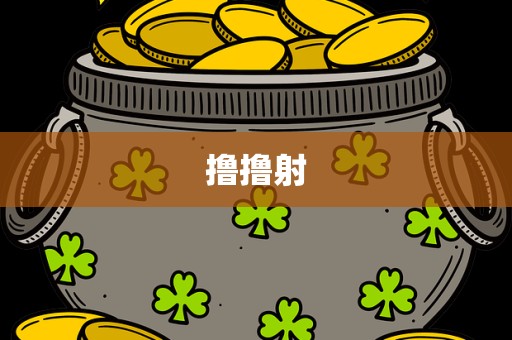 撸撸射
