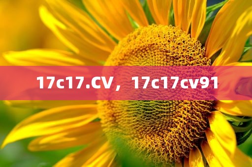 17c17.CV，17c17cv91