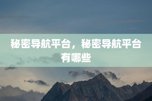 秘密导航平台，秘密导航平台有哪些
