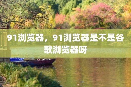 91浏览器，91浏览器是不是谷歌浏览器呀