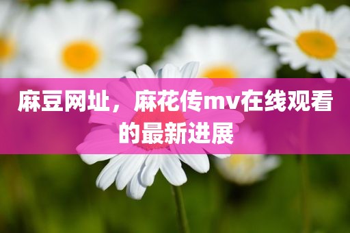麻豆网址，麻花传mv在线观看的最新进展