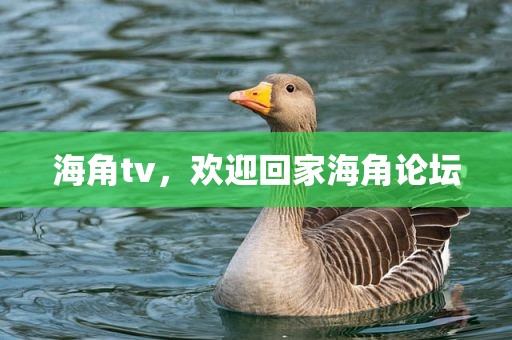 海角tv，欢迎回家海角论坛