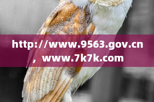 http://www.9563.gov.cn，www.7k7k.com