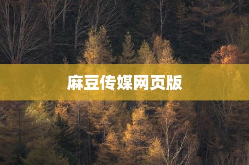 麻豆传媒网页版