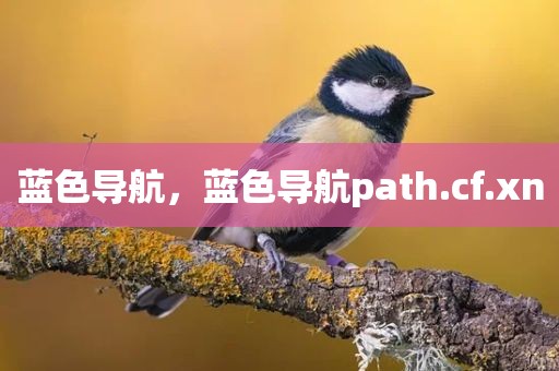 蓝色导航，蓝色导航path.cf.xn