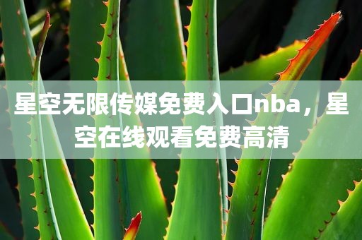 星空无限传媒免费入口nba，星空在线观看免费高清