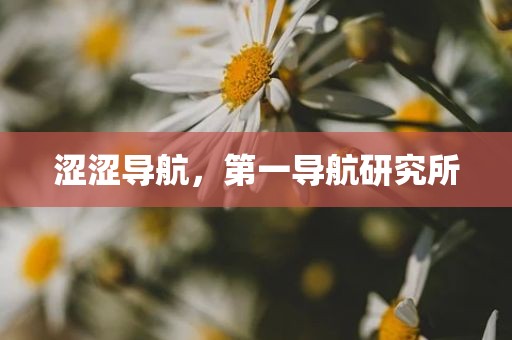 涩涩导航，第一导航研究所