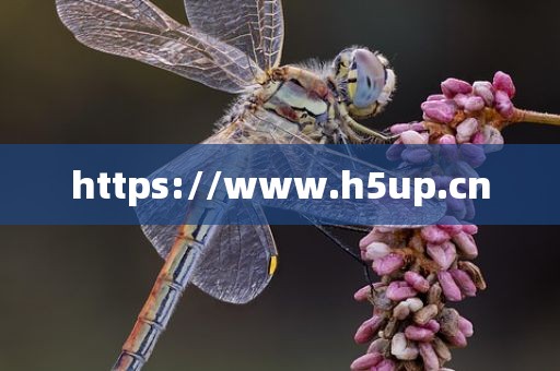 https://www.h5up.cn