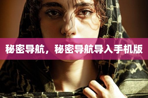 秘密导航，秘密导航导入手机版