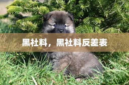 黑社料，黑社料反差表