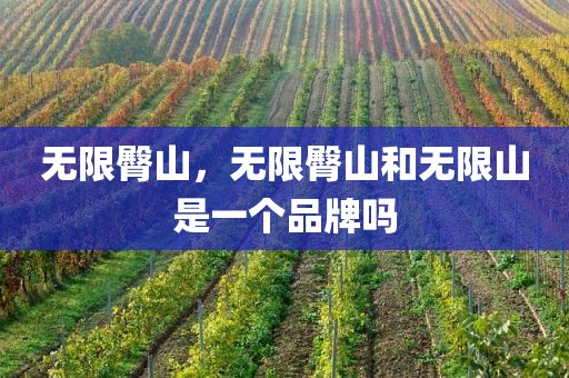 无限臀山，无限臀山和无限山是一个品牌吗