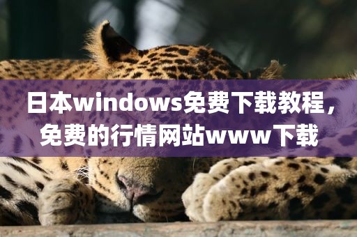 日本windows免费下载教程，免费的行情网站www下载