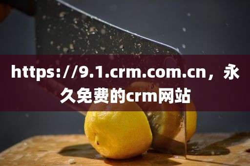 https://9.1.crm.com.cn，永久免费的crm网站