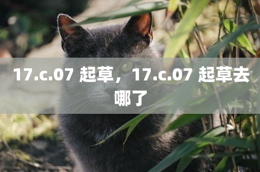 17.c.07 起草，17.c.07 起草去哪了