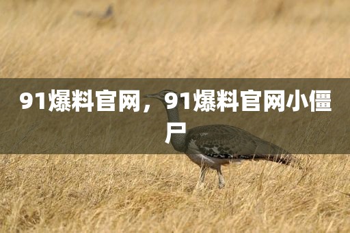 91爆料官网，91爆料官网小僵尸