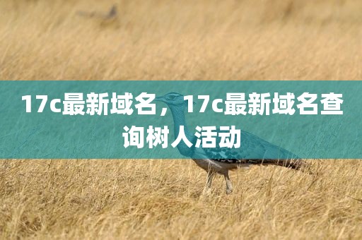 17c最新域名，17c最新域名查询树人活动