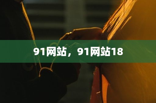 91网站，91网站18