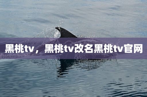 黑桃tv，黑桃tv改名黑桃tv官网