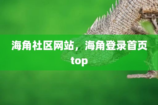 海角社区网站，海角登录首页top