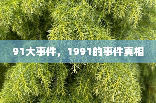 91大事件，1991的事件真相