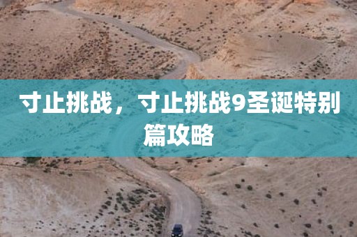 寸止挑战，寸止挑战9圣诞特别篇攻略