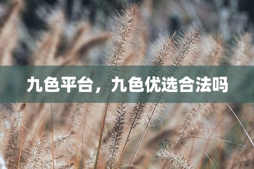 九色平台，九色优选合法吗