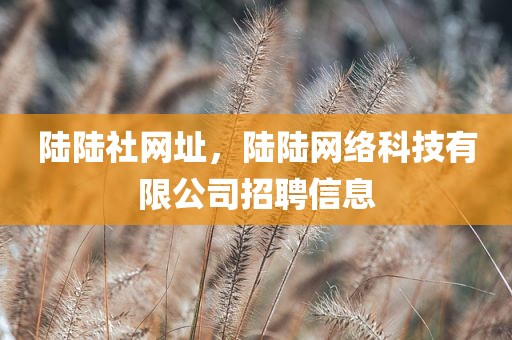 陆陆社网址，陆陆网络科技有限公司招聘信息