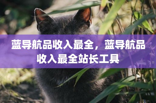 蓝导航品收入最全，蓝导航品收入最全站长工具