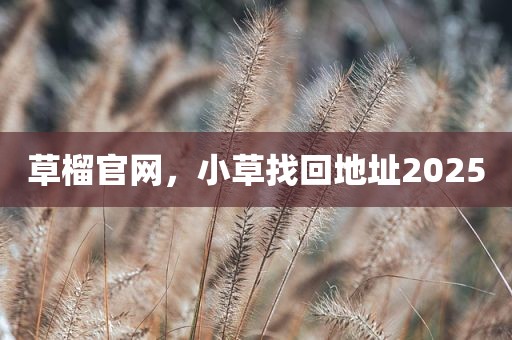 草榴官网，小草找回地址2025