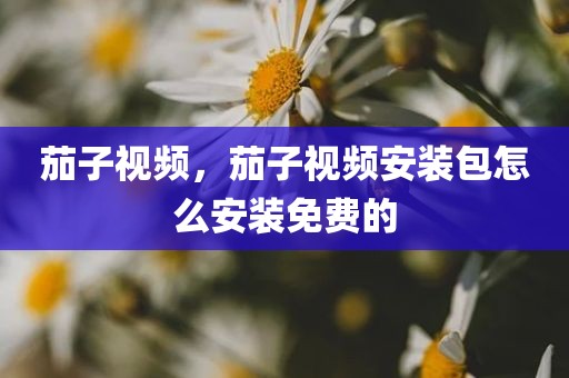 茄子视频，茄子视频安装包怎么安装免费的