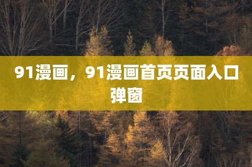91漫画，91漫画首页页面入口弹窗