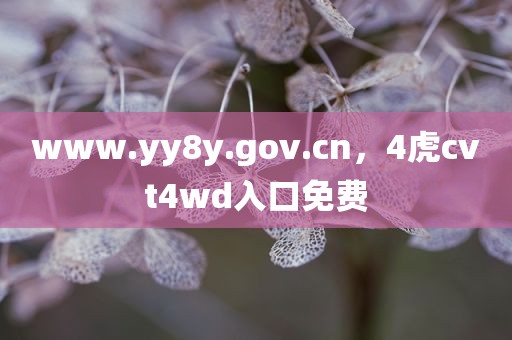www.yy8y.gov.cn，4虎cvt4wd入口免费