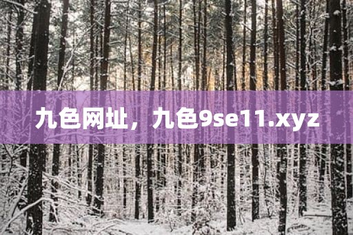 九色网址，九色9se11.xyz