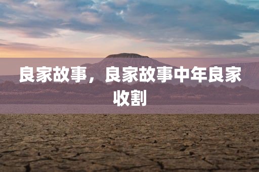 良家故事，良家故事中年良家收割