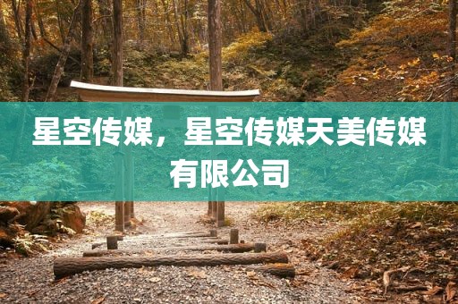 星空传媒，星空传媒天美传媒有限公司