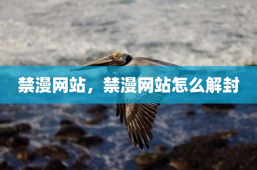 禁漫网站，禁漫网站怎么解封