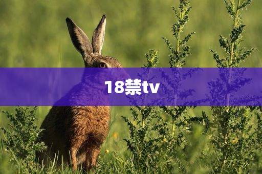18禁tv
