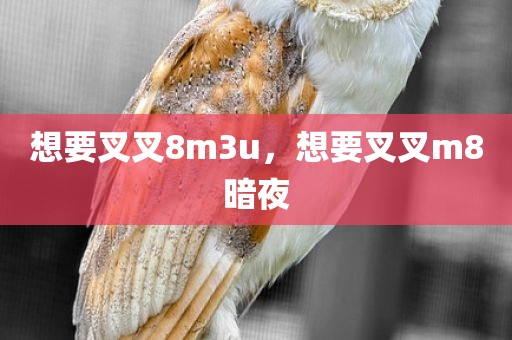 想要叉叉8m3u，想要叉叉m8暗夜