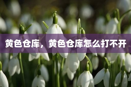 黄色仓库，黄色仓库怎么打不开