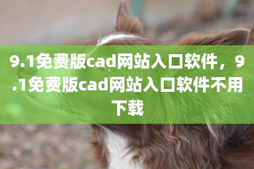 9.1免费版cad网站入口软件，9.1免费版cad网站入口软件不用下载