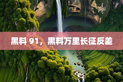 黑料 91，黑料万里长征反差