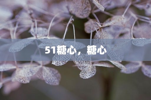 51糖心，糖心