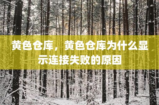 黄色仓库，黄色仓库为什么显示连接失败的原因
