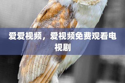 爱爱视频，爱视频免费观看电视剧