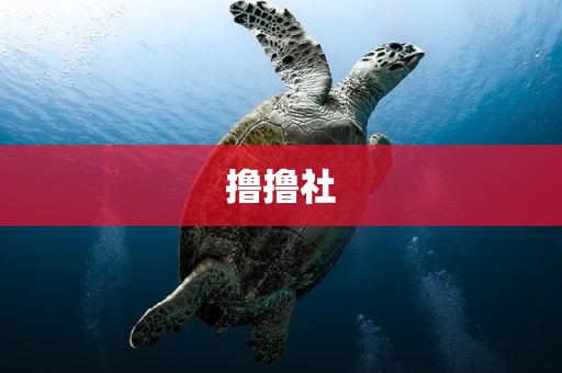 撸撸社