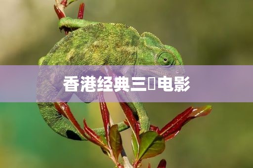 香港经典三㚫电影
