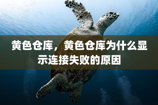 黄色仓库，黄色仓库为什么显示连接失败的原因